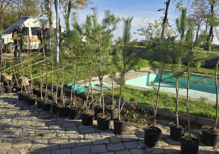 Район "Централен" и "Бизнесът за Пловдив" в обща мисия: 100 нови дръвчета на Сахат тепе (СНИМКИ и ВИДЕО) 3 Район "Централен" и "Бизнесът за Пловдив" в обща мисия: 100 нови дръвчета на Сахат тепе (СНИМКИ и ВИДЕО)