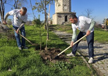 Район "Централен" и "Бизнесът за Пловдив" в обща мисия: 100 нови дръвчета на Сахат тепе (СНИМКИ и ВИДЕО)