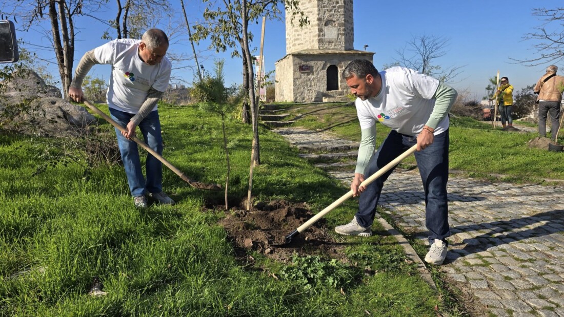 Район „Централен“ и „Бизнесът за Пловдив“ в обща мисия: 100 нови дръвчета на Сахат тепе (СНИМКИ и ВИДЕО)