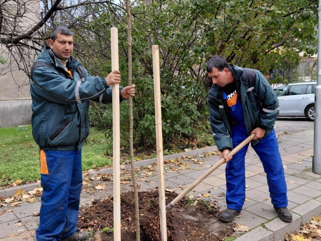 ОП "Градини и паркове" продължава с есенната залесителна кампания в Пловдив (СНИМКИ)