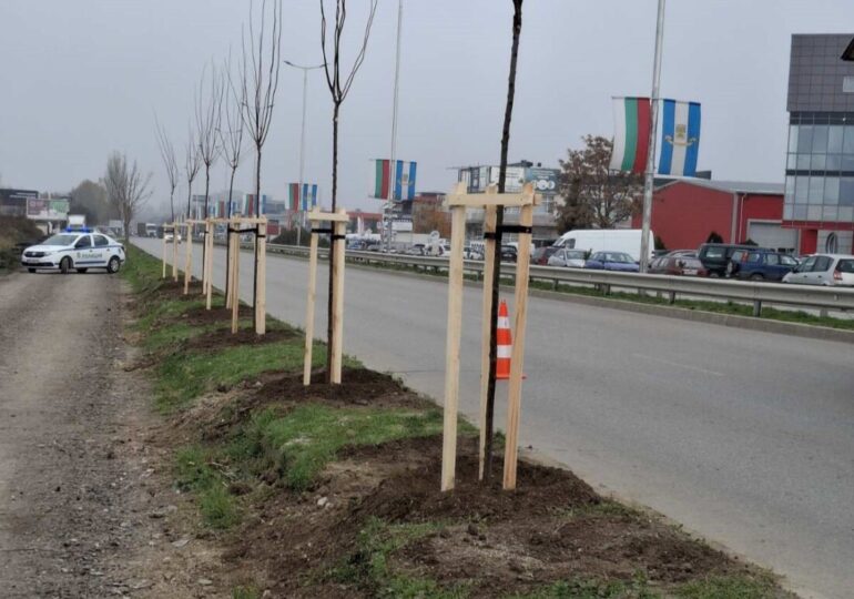 ОП "Градини и паркове" продължава с есенната залесителна кампания в Пловдив (СНИМКИ)