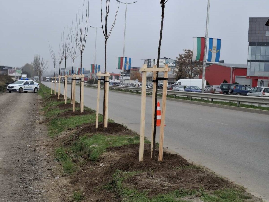 ОП „Градини и паркове“ продължава с есенната залесителна кампания в Пловдив (СНИМКИ)