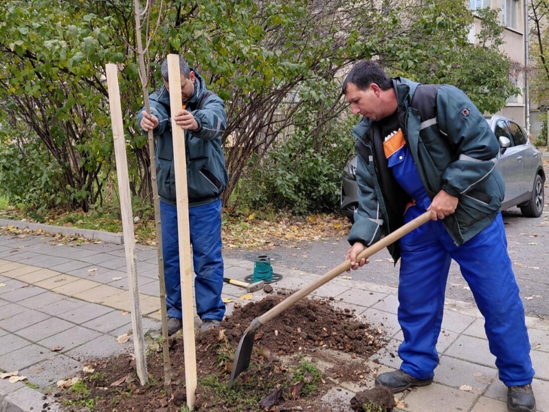 ОП "Градини и паркове" продължава с есенната залесителна кампания в Пловдив (СНИМКИ)