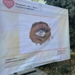 Заместник-кметът Николай Бухалов откри в Пловдив кампанията „Шофирай със сърце и разум“ (СНИМКИ)