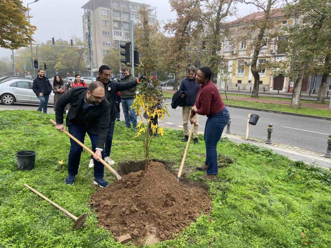 Световноизвестната джаз певица Лиз Райт засади дръвче Ликвидамбър в Пловдив (СНИМКИ)