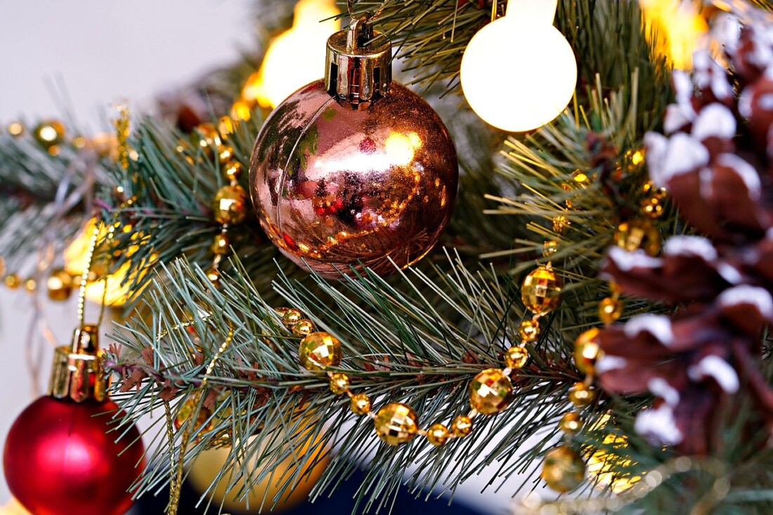 Грейват светлините на Коледната елха в „Тракия“