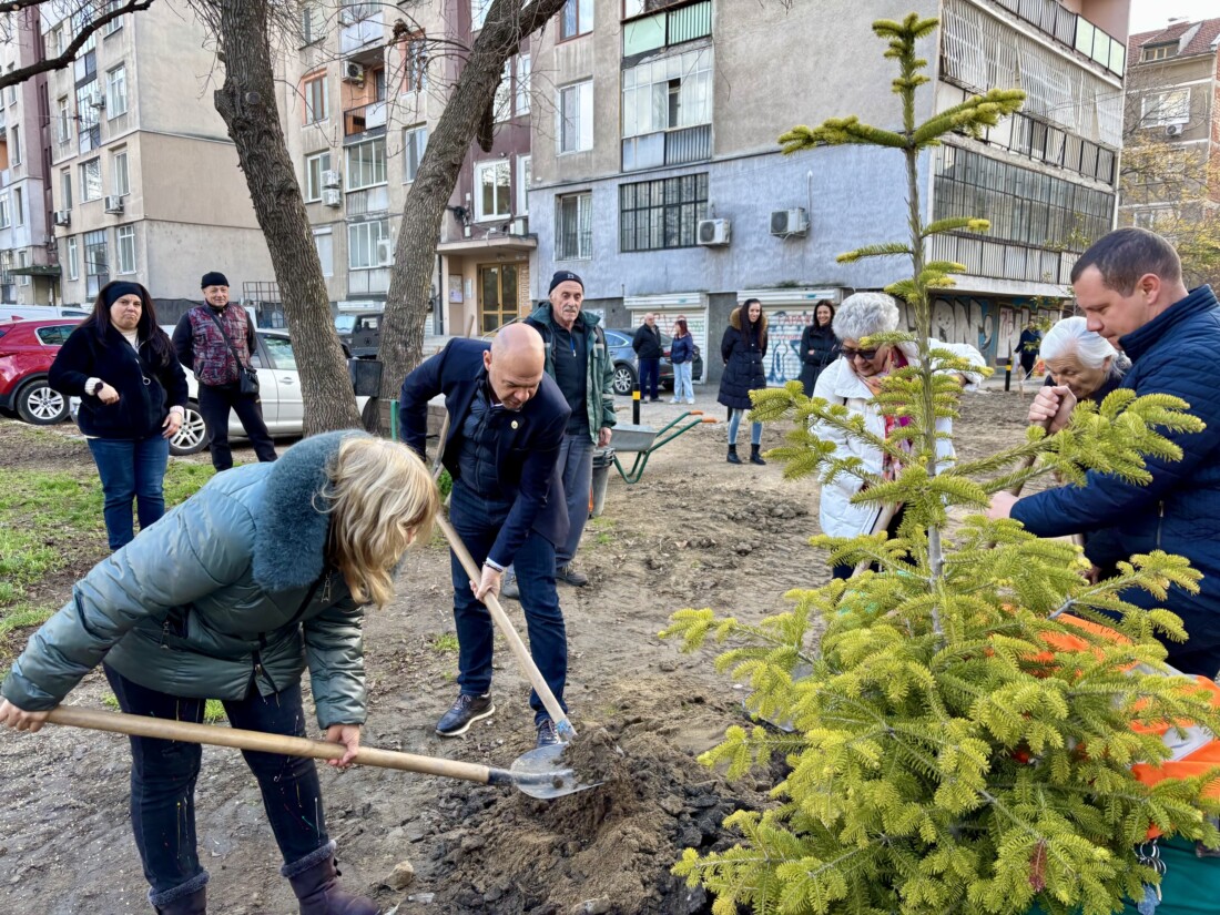 Градът става по-зелен: Община Пловдив засади 1000 дръвчета на ключови локации (СНИМКИ)