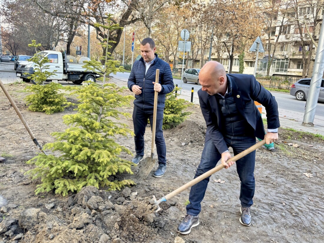 Градът става по-зелен: Община Пловдив засади 1000 дръвчета на ключови локации (СНИМКИ)