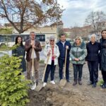 Градът става по-зелен: Община Пловдив засади 1000 дръвчета на ключови локации (СНИМКИ)