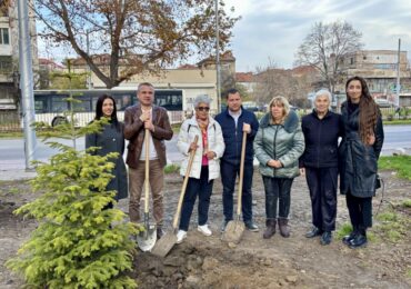 Градът става по-зелен: Община Пловдив засади 1000 дръвчета на ключови локации (СНИМКИ)
