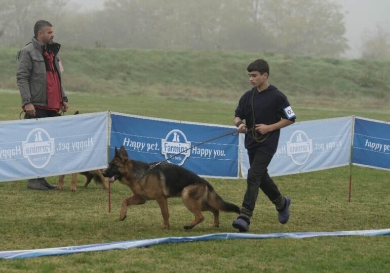 Младежи от Община Марица блестят на изложба за немско овчарско куче в Калековец (СНИМКИ)