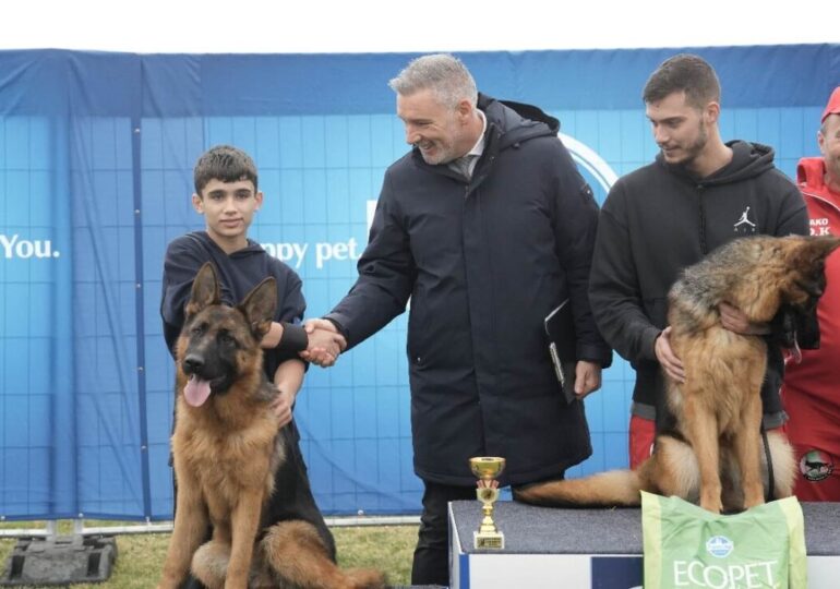 Младежи от Община Марица блестят на изложба за немско овчарско куче в Калековец (СНИМКИ)