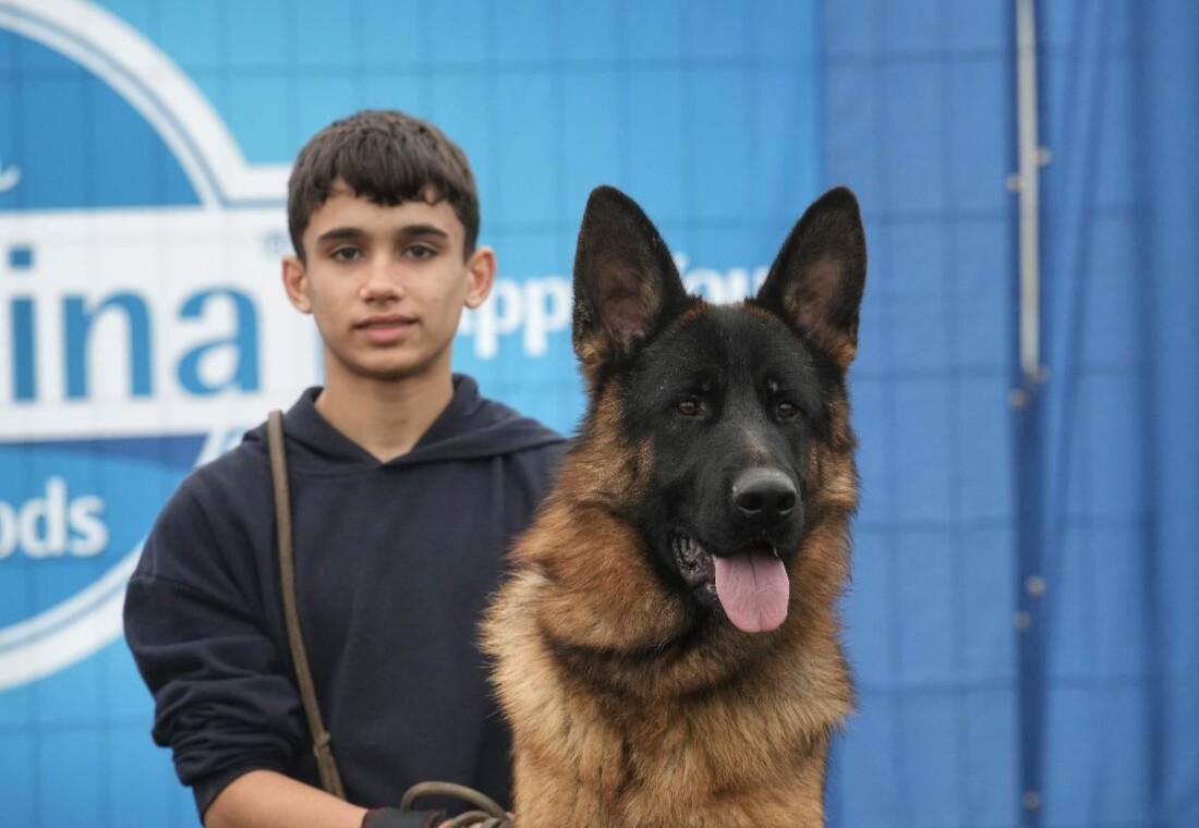 Младежи от Община Марица блестят на изложба за немско овчарско куче в Калековец (СНИМКИ)