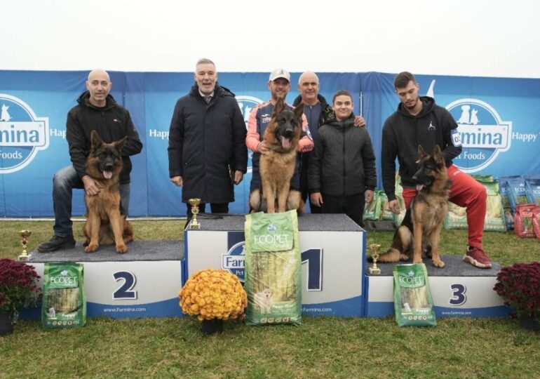 Младежи от Община Марица блестят на изложба за немско овчарско куче в Калековец (СНИМКИ)