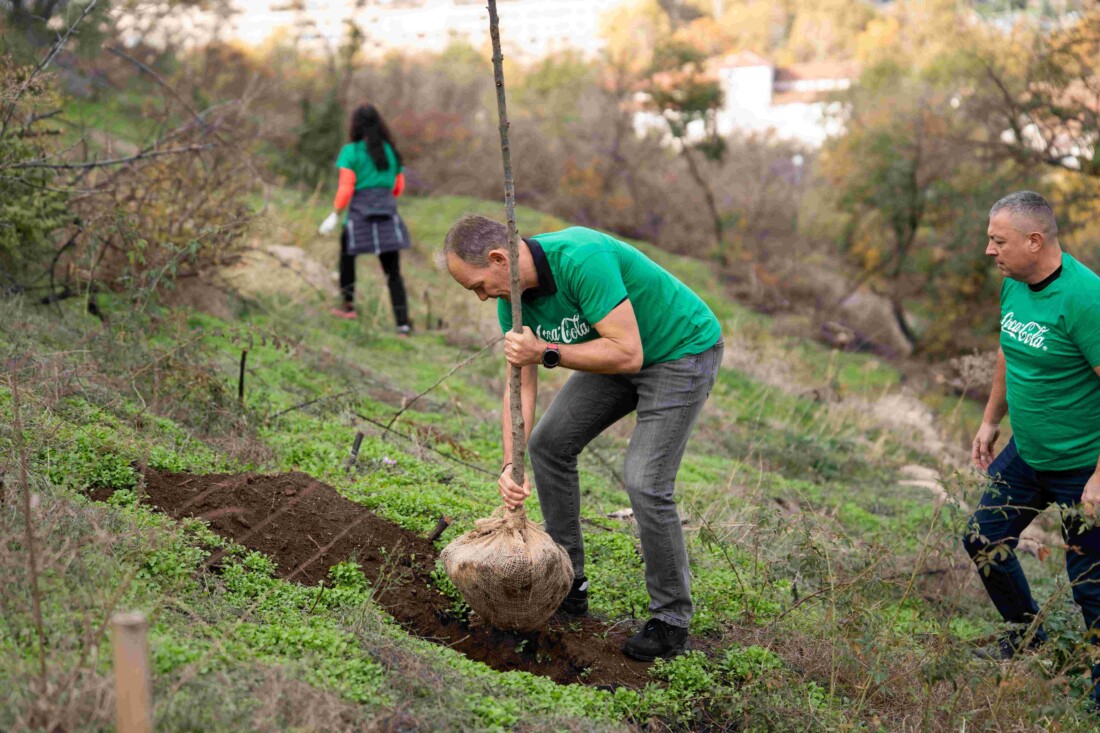 Доброволци от Кока-Кола ХБК залесиха опожарената част от Младежкия хълм в Пловдив (СНИМКИ)