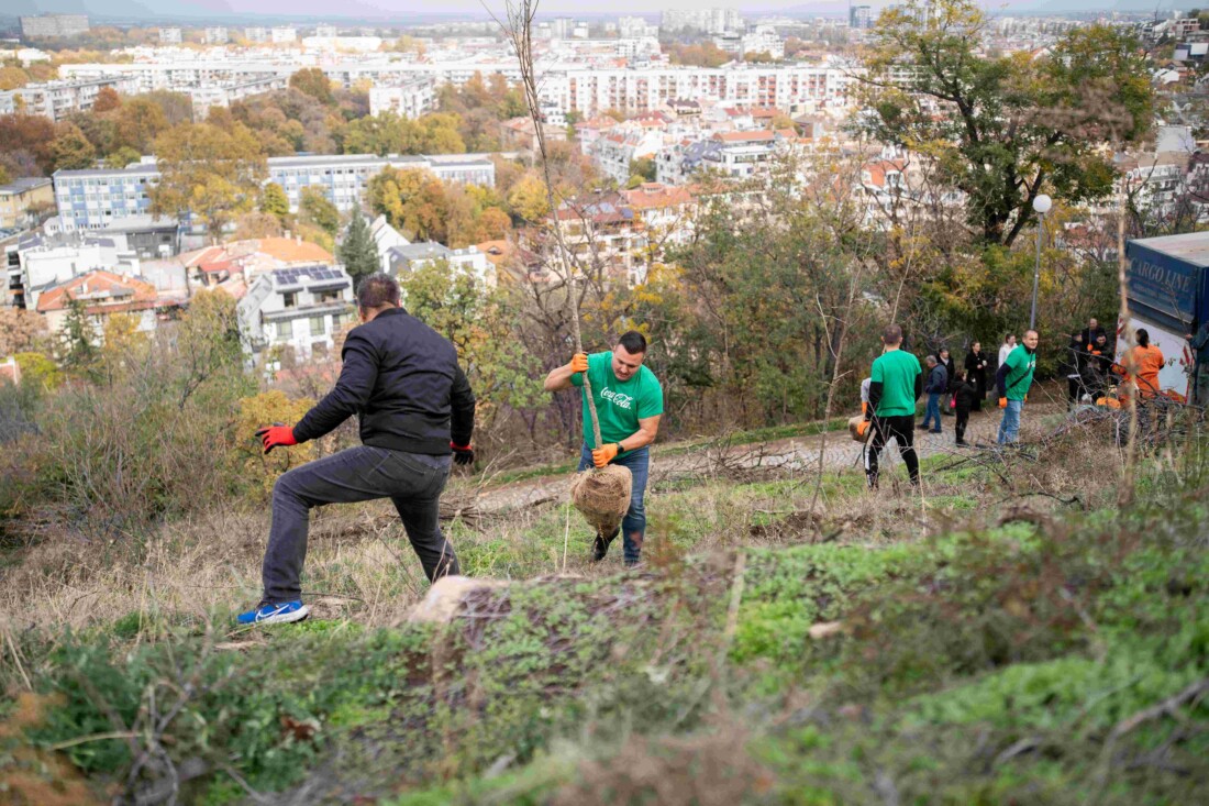 Доброволци от Кока-Кола ХБК залесиха опожарената част от Младежкия хълм в Пловдив (СНИМКИ)