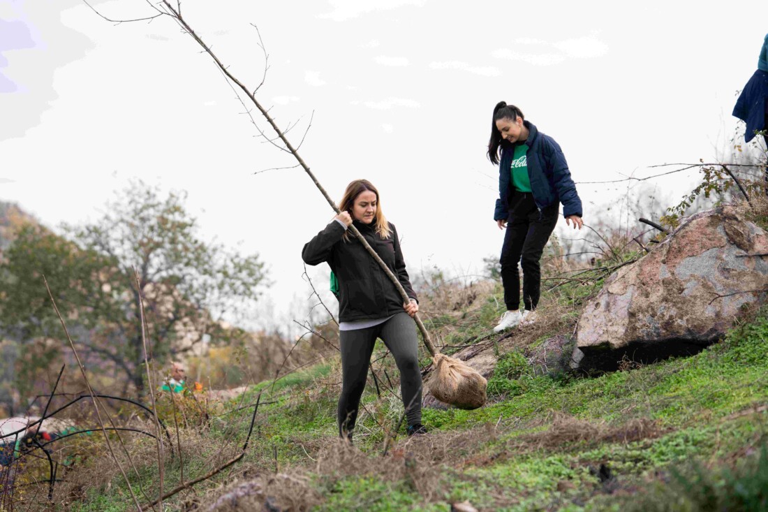 Доброволци от Кока-Кола ХБК залесиха опожарената част от Младежкия хълм в Пловдив (СНИМКИ)