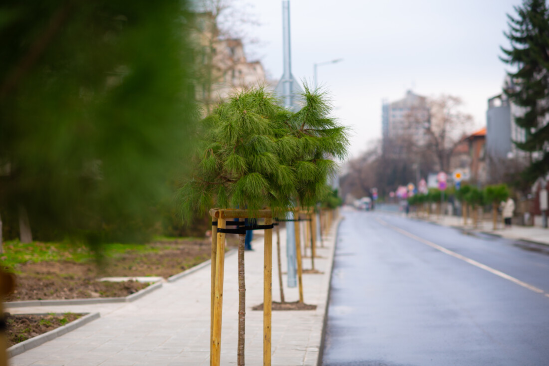 Костадин Димитров откри обновената улица „Славянска“ в Пловдив (СНИМКИ)
