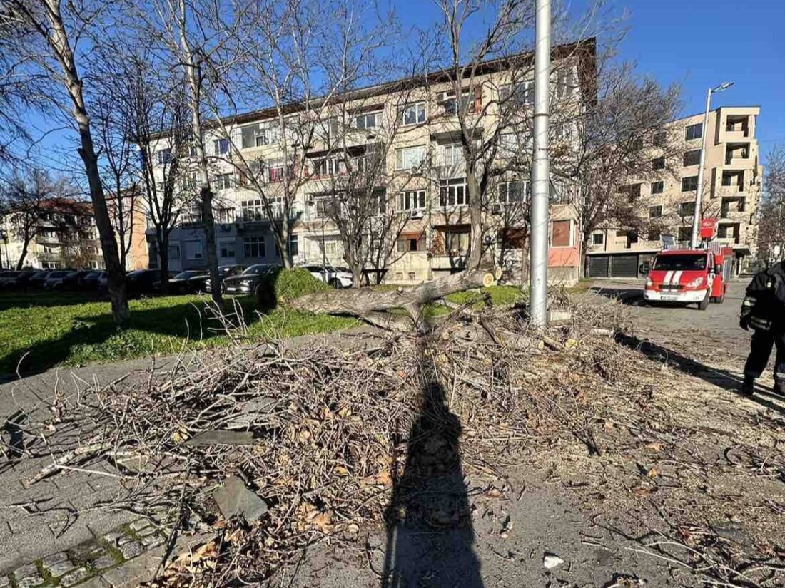Десетки сигнали заради силния вятър в Пловдив, пожарникари, общински служители и доброволци са на терен (СНИМКИ)