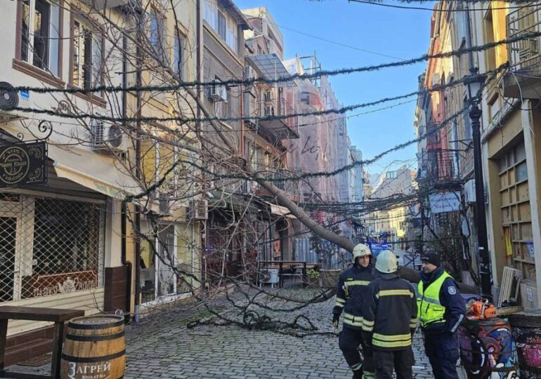 Десетки сигнали заради силния вятър в Пловдив, пожарникари, общински служители и доброволци са на терен (СНИМКИ)