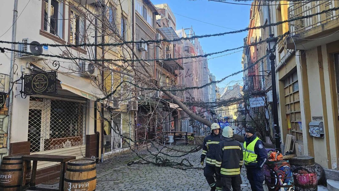 Десетки сигнали заради силния вятър в Пловдив, пожарникари, общински служители и доброволци са на терен (СНИМКИ)