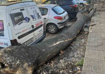 С пориви от над 100 км/ч: Вятърът в Пловдив събори дървета и клони, нанесени са щети по автомобили