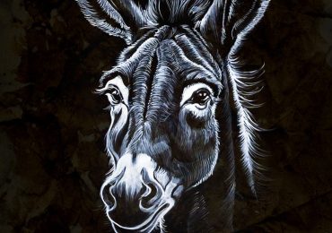 Дивият свят оживява в изложба на Цветан Узунов – TSE в Природонаучния музей