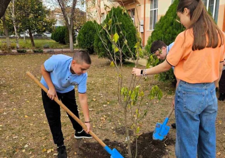 Повече от 500 фиданки раздаде безвъзмездно община Асеновград (СНИМКИ)