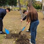 Повече от 500 фиданки раздаде безвъзмездно община Асеновград (СНИМКИ)