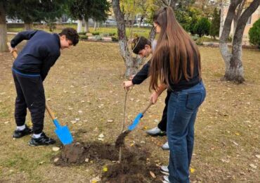 Повече от 500 фиданки раздаде безвъзмездно община Асеновград (СНИМКИ)