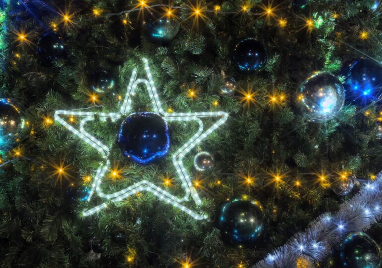 Запалиха тържествено светлините на коледната елха в "Южен" (ВИДЕО и СНИМКИ)