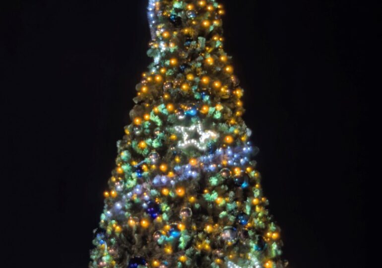 Запалиха тържествено светлините на коледната елха в "Южен" (ВИДЕО и СНИМКИ)