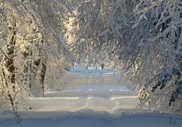 Сняг за Коледа: Оранжев код за обилни валежи в осем области