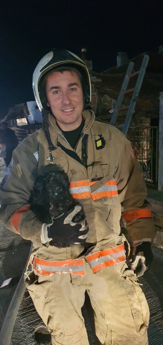 При пожар в Раковски: Огнеборци помогнаха на възрастна жена, спасиха и малко кученце