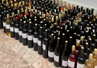 Рекорден брой проби в конкурса за домашно вино на община Асеновград