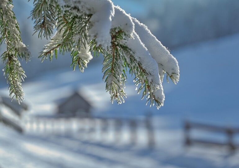 Класация определи Топ 50 на най-добрите хотели в българските зимни курорти