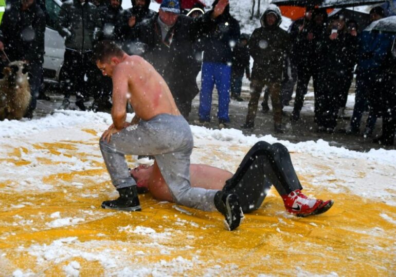 Снегът не попречи на празника: 32-годишен от Крушаре спечели 100-килограмов овен на борбите в Асеновград (СНИМКИ) 19 Снегът не попречи на празника: 32-годишен от Крушаре спечели 100-килограмов овен на борбите в Асеновград (СНИМКИ)