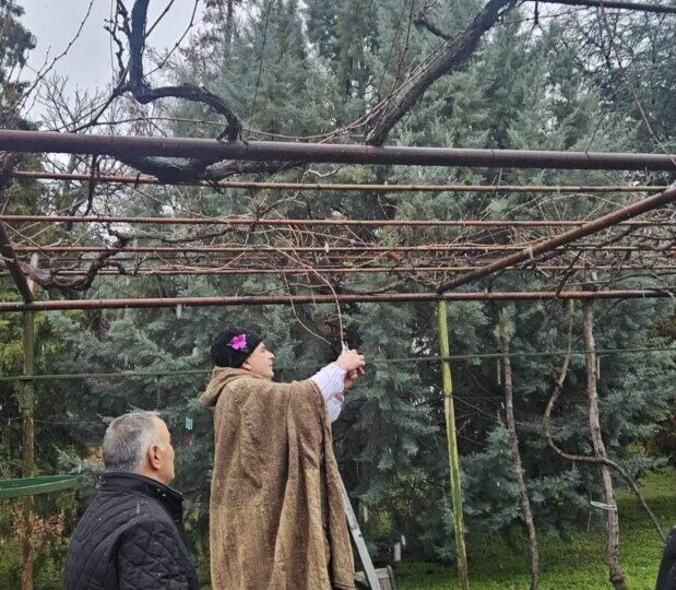 Въпреки снега: Стамболийски отбеляза с много настроение празника на Трифон Зарезан (СНИМКИ)