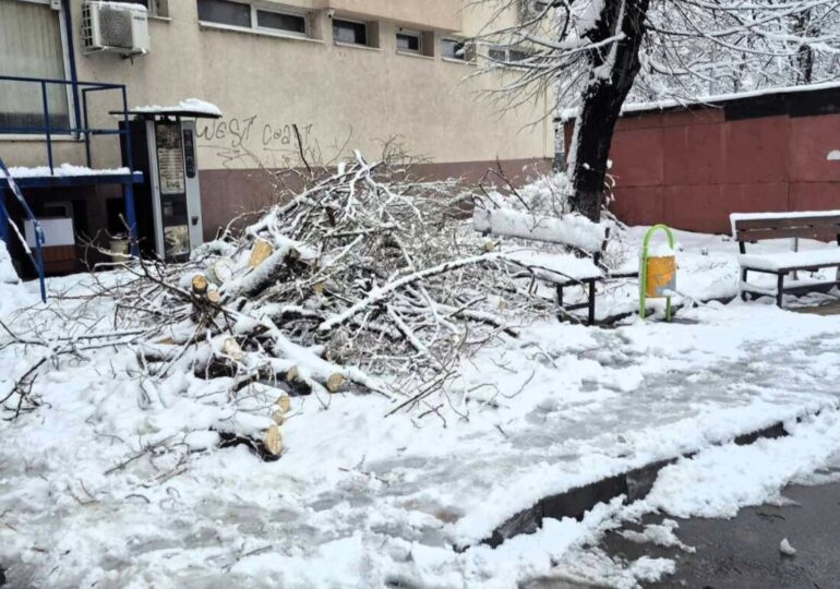 Продължава разчистването на пътищата в планинския район на община Асеновград (СНИМКИ)