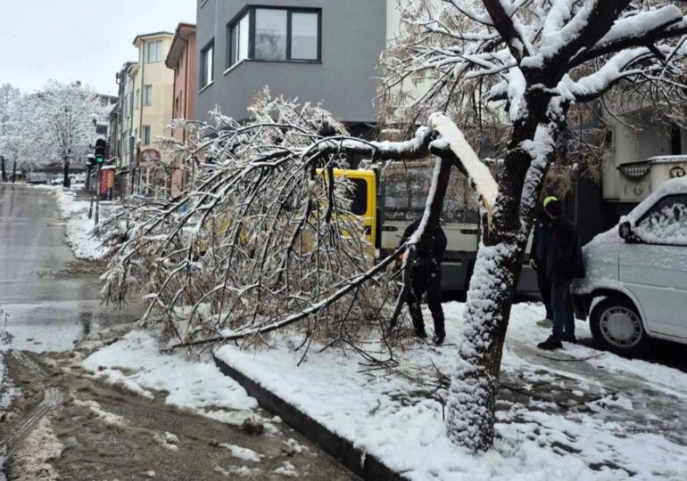 Продължава разчистването на пътищата в планинския район на община Асеновград (СНИМКИ)