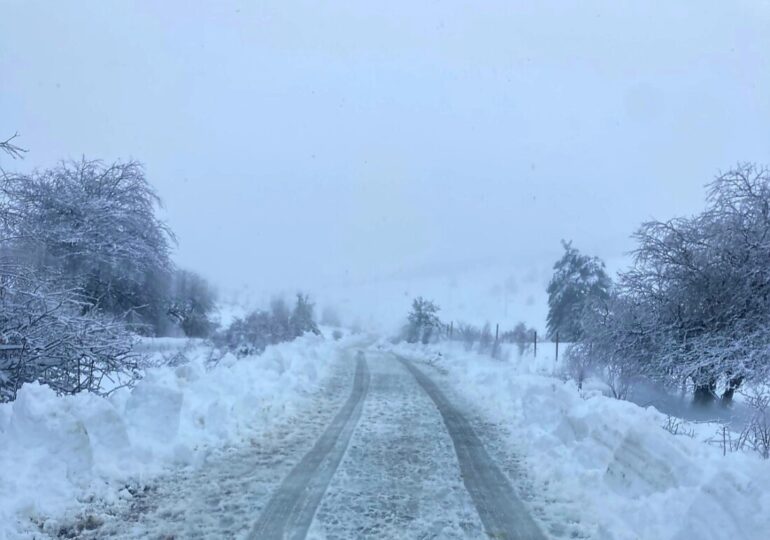 Пътищата в община Асеновград се обработват с цялата налична техника