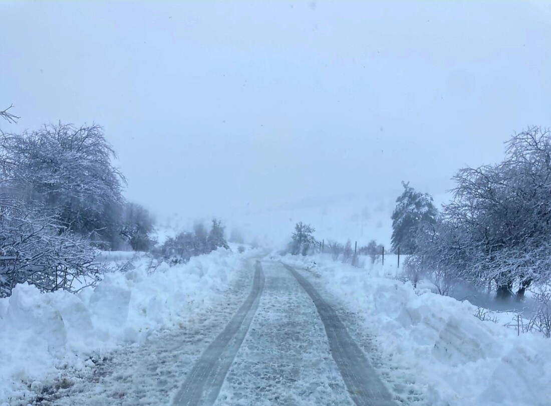 Пътищата в община Асеновград се обработват с цялата налична техника