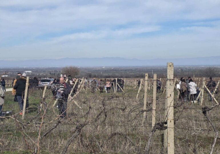 Столицата на виното Брестовица отбеляза Трифон Зарезан (ГАЛЕРИЯ) 15 Столицата на виното Брестовица отбеляза Трифон Зарезан (ГАЛЕРИЯ)