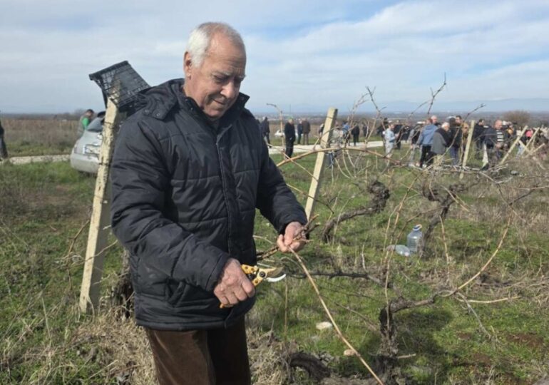 Столицата на виното Брестовица отбеляза Трифон Зарезан (ГАЛЕРИЯ) 16 Столицата на виното Брестовица отбеляза Трифон Зарезан (ГАЛЕРИЯ)