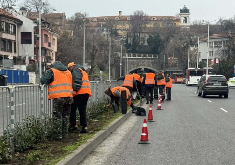 Хиляди красиви рози, храсти и дървета засаждат по ключов булевард в Пловдив (СНИМКИ)
