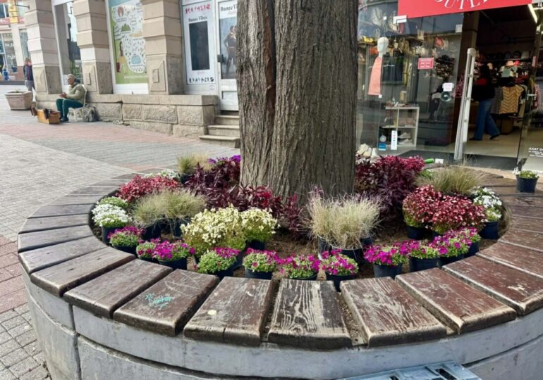 Хиляди нови цветя разцъфнаха на Главната на Пловдив (СНИМКИ)
