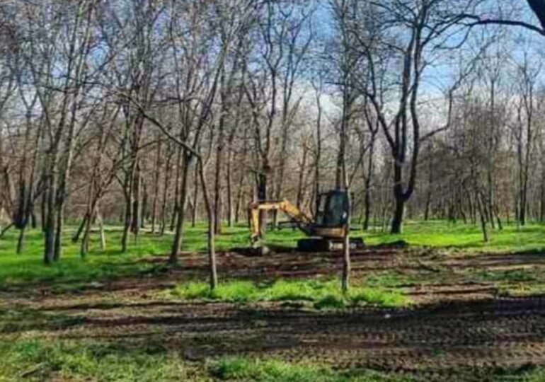 Започна подготовката в парк „Лаута“ за Народен събор Пловдив