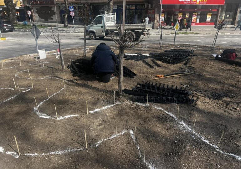 Стартира пролетната поддръжка на зелените площи в Асеновград (СНИМКИ) 7 Стартира пролетната поддръжка на зелените площи в Асеновград (СНИМКИ)