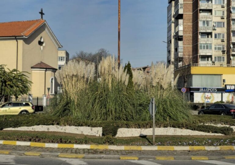 Стартира пролетната поддръжка на зелените площи в Асеновград (СНИМКИ) 5 Стартира пролетната поддръжка на зелените площи в Асеновград (СНИМКИ)