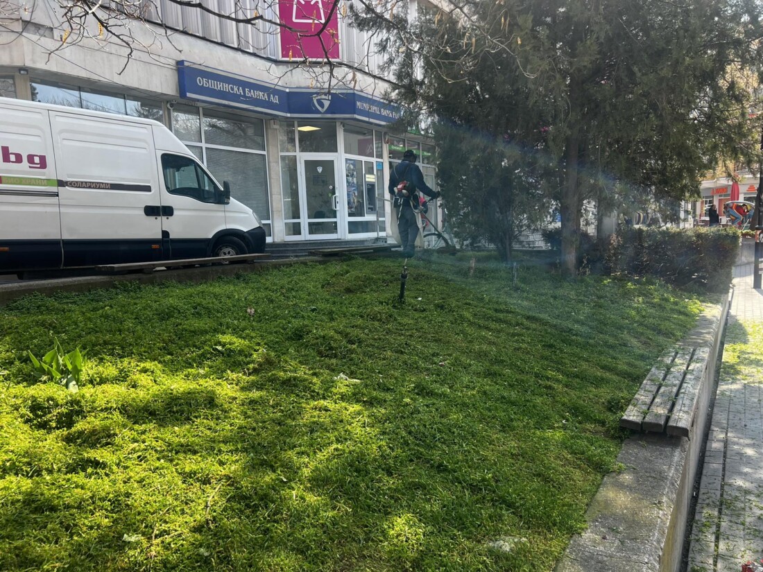 Стартира пролетната поддръжка на зелените площи в Асеновград (СНИМКИ) 2 Стартира пролетната поддръжка на зелените площи в Асеновград (СНИМКИ)